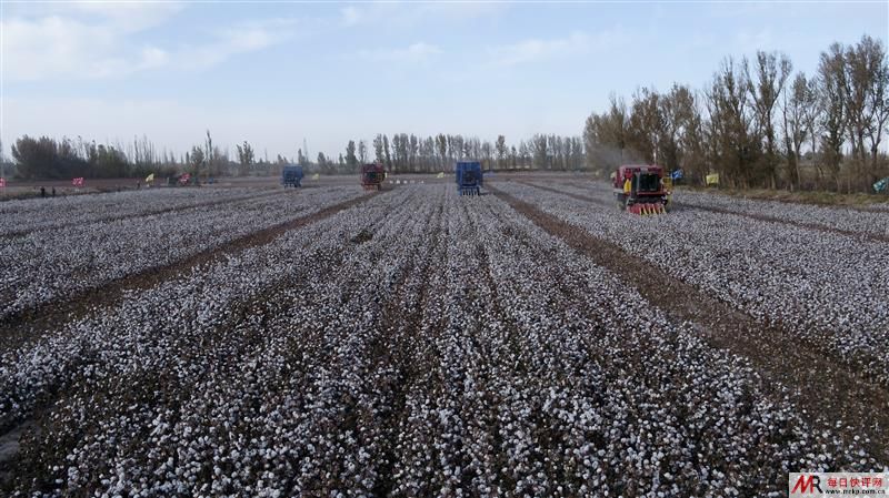 美村富民项目启动 助力棉花产业可持续发展