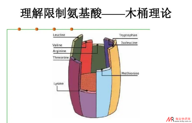 什么是限制氨基酸.png