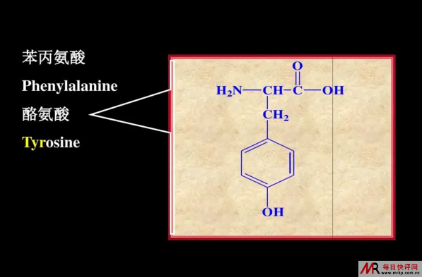 含硫氨基酸的代谢百科介绍